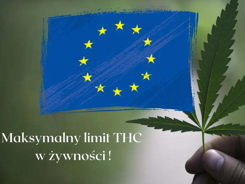 Maksymalny limit THC w&nbsp;żywności !