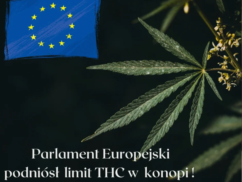 Mamy to&nbsp;! Idą zmiany ! Parlament Europejski podniósł limit THC w&nbsp;konopi.