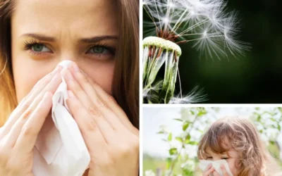 Wiosna bez alergii !