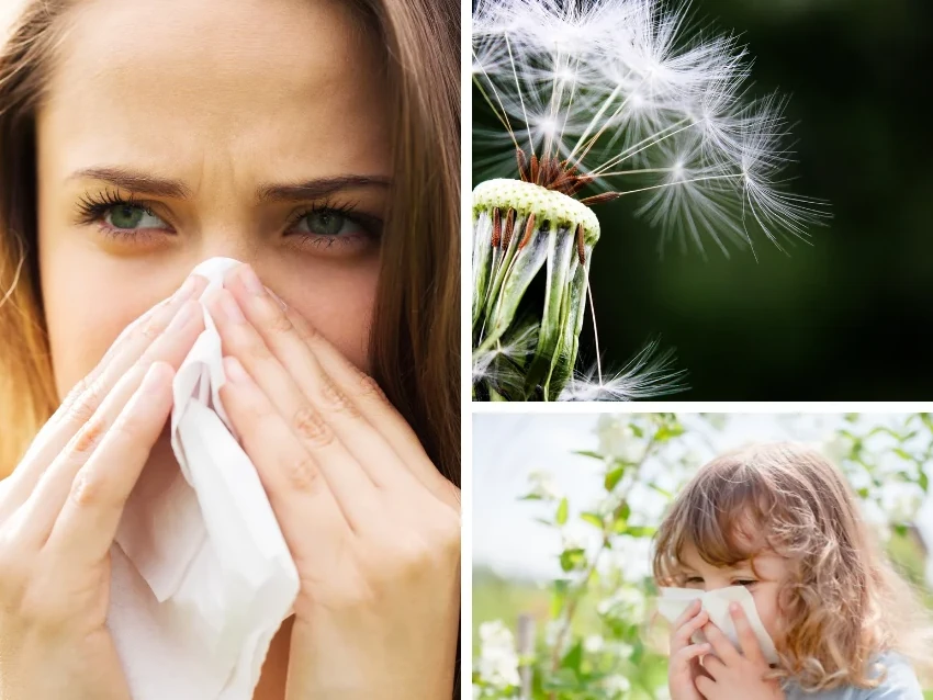Wiosna bez&nbsp;alergii !